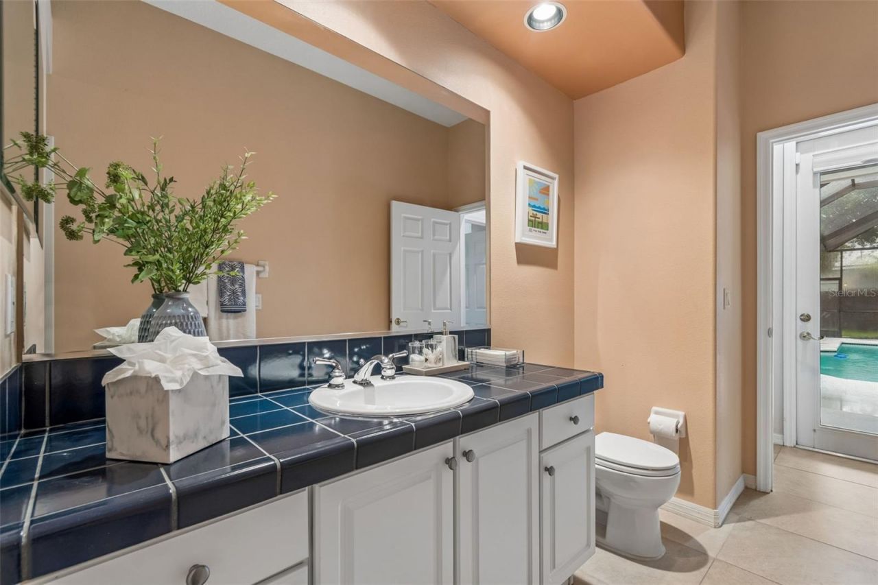 19108 Centre Rose Boulevard, Lutz, FL 33558 Photo