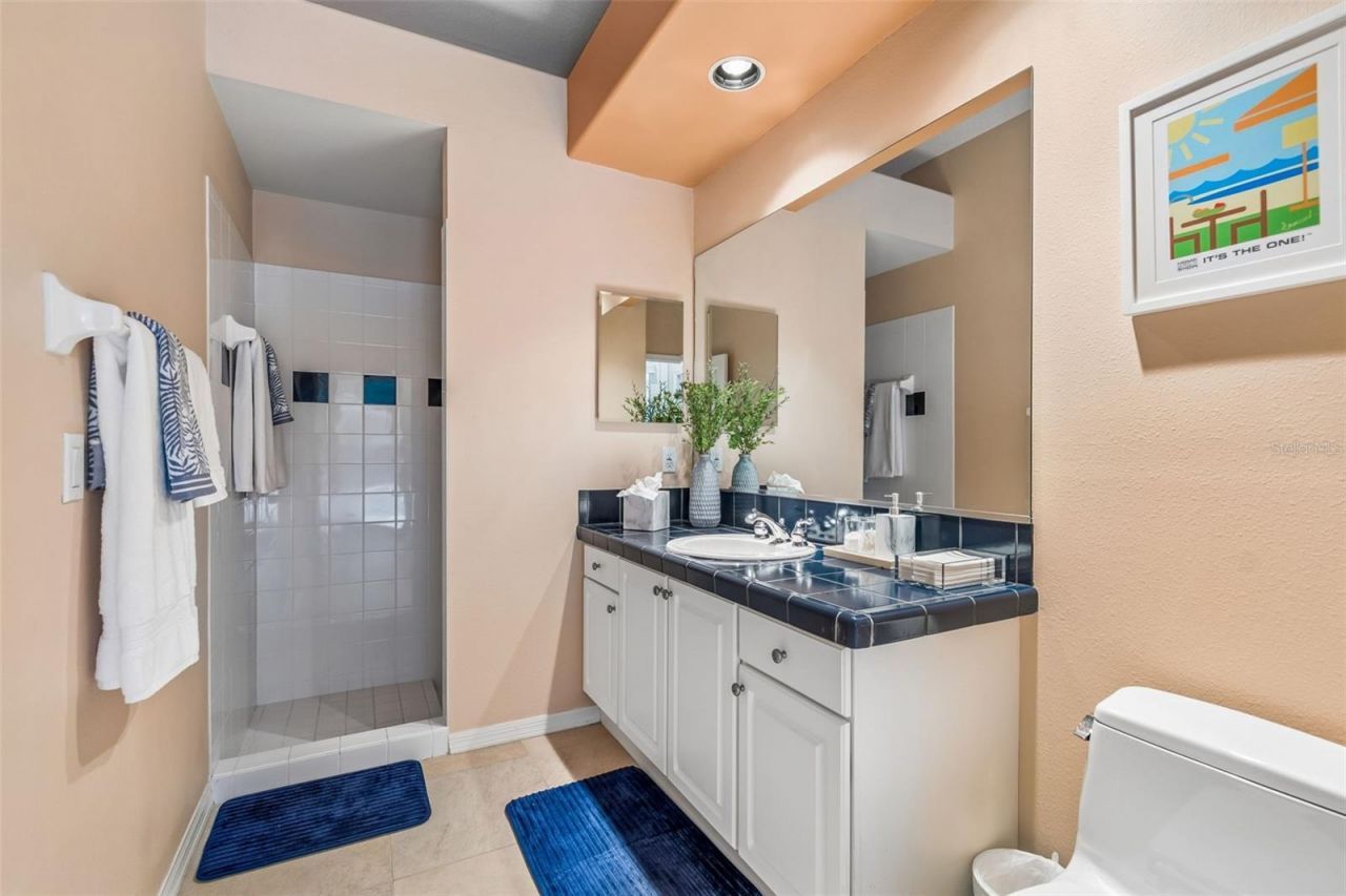 19108 Centre Rose Boulevard, Lutz, FL 33558 Photo
