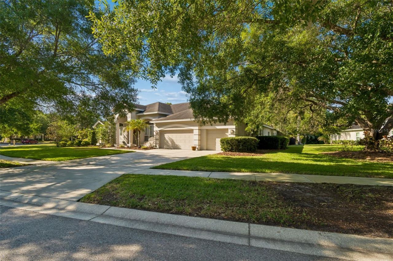 19108 Centre Rose Boulevard, Lutz, FL 33558 Photo