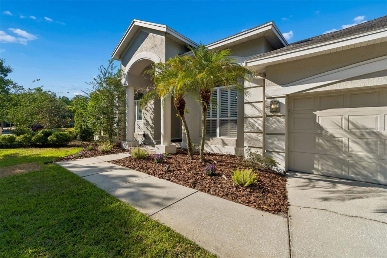 19108 Centre Rose Boulevard, Lutz, FL 33558 Photo