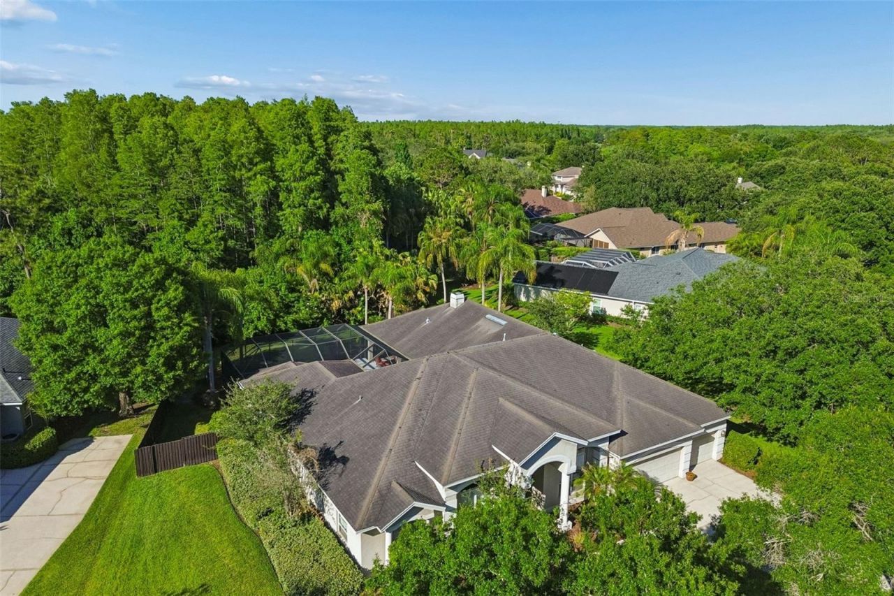 19108 Centre Rose Boulevard, Lutz, FL 33558 Photo
