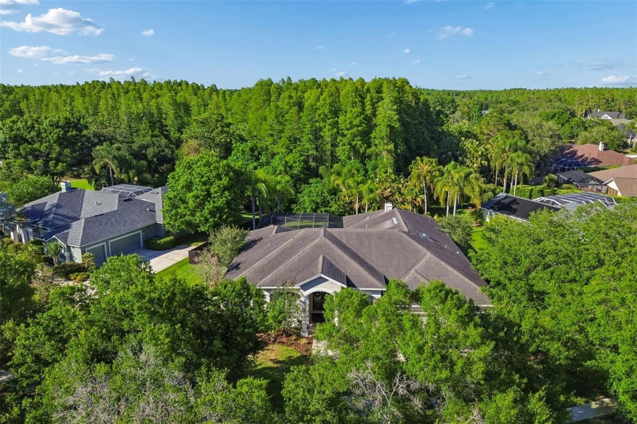19108 Centre Rose Boulevard, Lutz, FL 33558 Photo