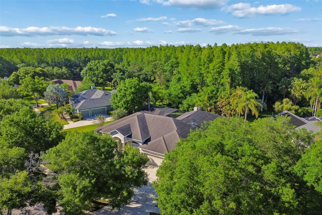19108 Centre Rose Boulevard, Lutz, FL 33558 Photo