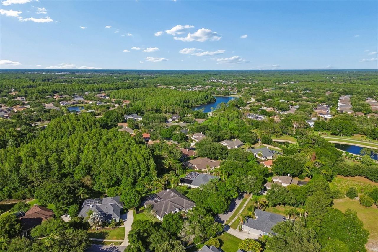 19108 Centre Rose Boulevard, Lutz, FL 33558 Photo