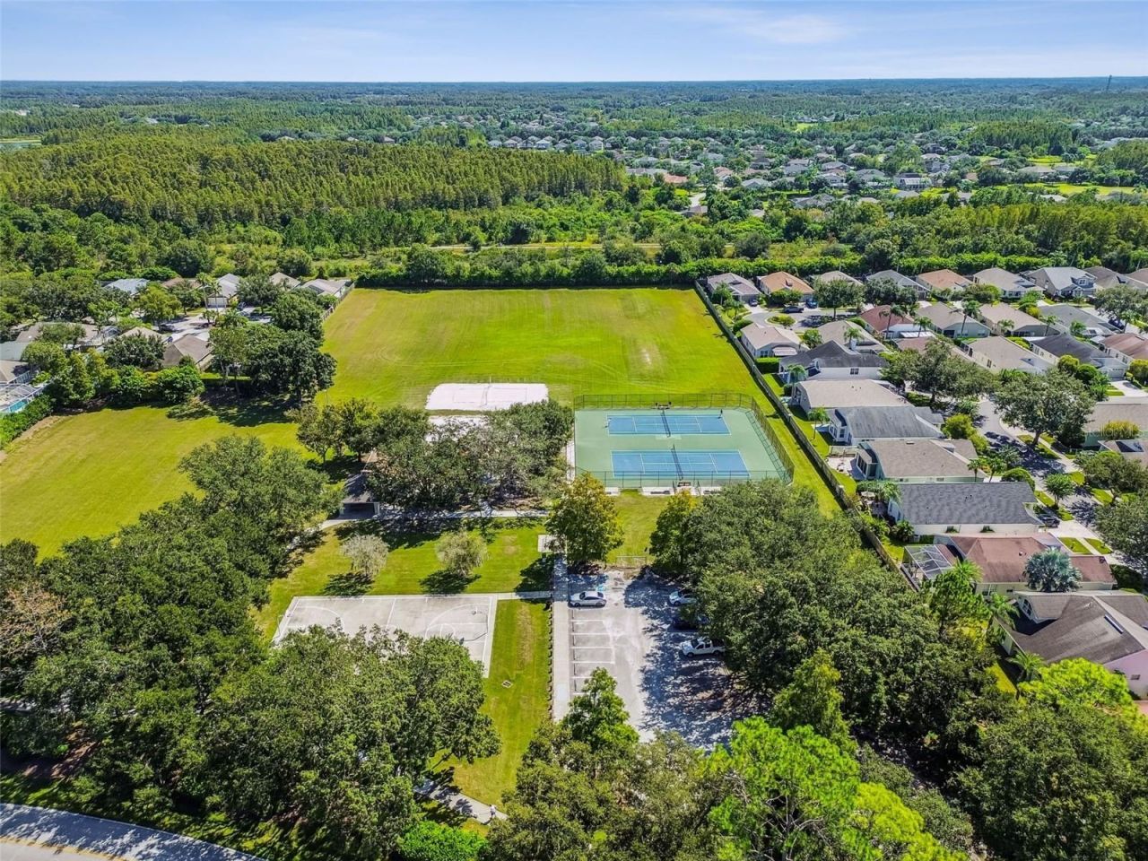 19108 Centre Rose Boulevard, Lutz, FL 33558 Photo