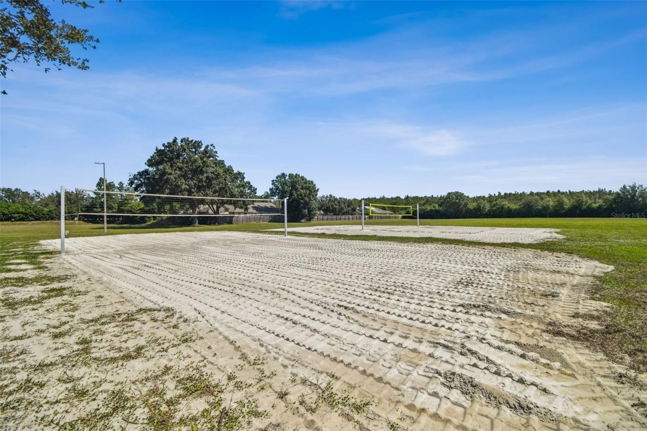 19108 Centre Rose Boulevard, Lutz, FL 33558 Photo