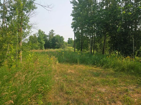 183XX 302nd Avenue, Detroit Lakes, MN 56501