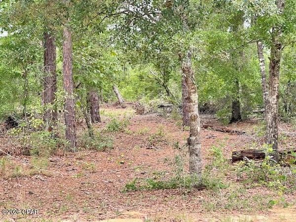 0 E Dixie Drive , Marianna, FL 32448