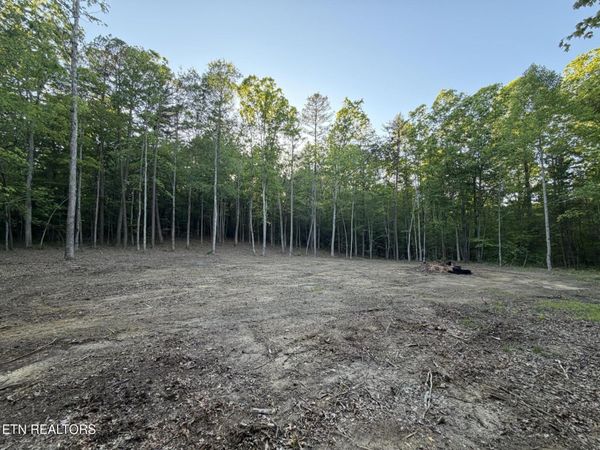 Long Branch Court, Allardt, TN 38504