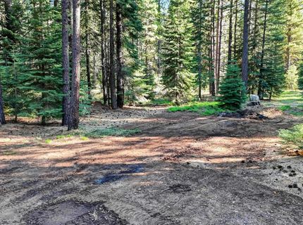 463-000 Moonlight Ranch Road, Westwood, CA 96137 Photo