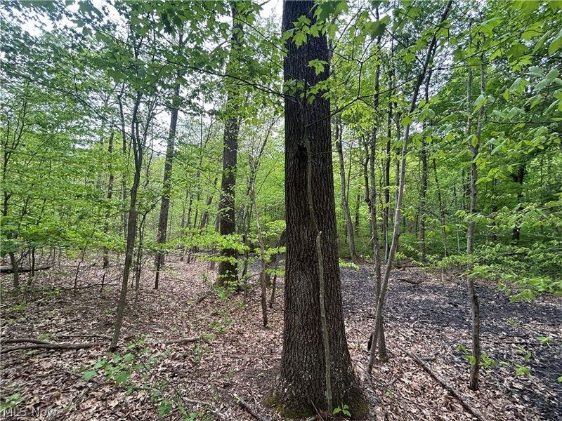 Wesley Chapel, Mount Perry, OH 43760 Photo 10