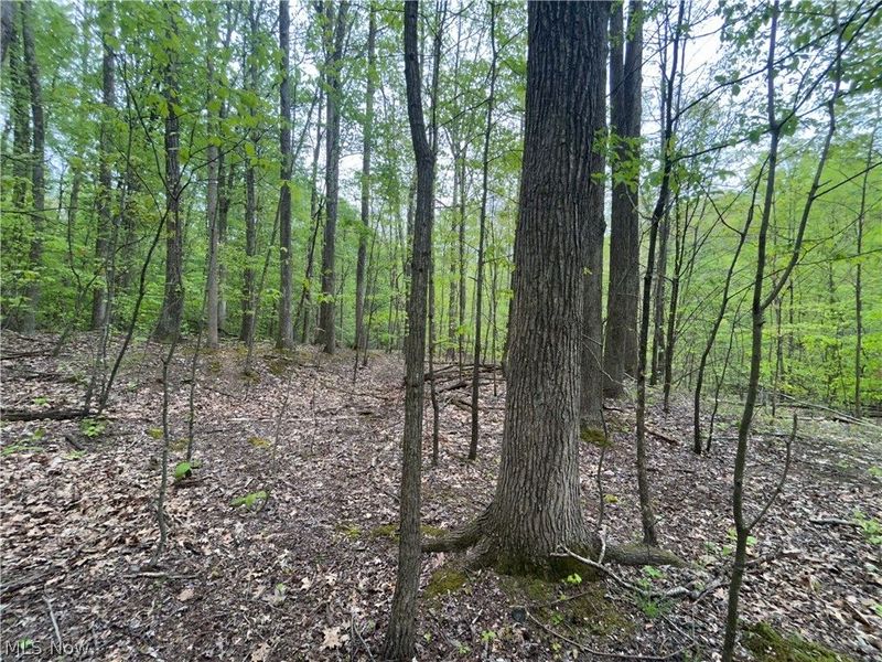 Wesley Chapel, Mount Perry, OH 43760 Photo 11