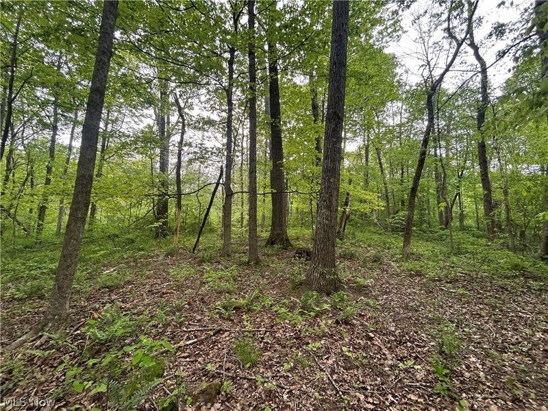 Wesley Chapel, Mount Perry, OH 43760 Photo 14