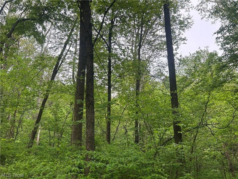 Wesley Chapel, Mount Perry, OH 43760 Photo 2