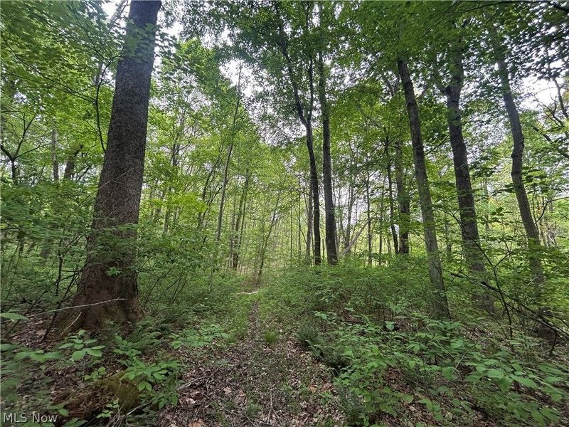 Wesley Chapel, Mount Perry, OH 43760 Photo 3