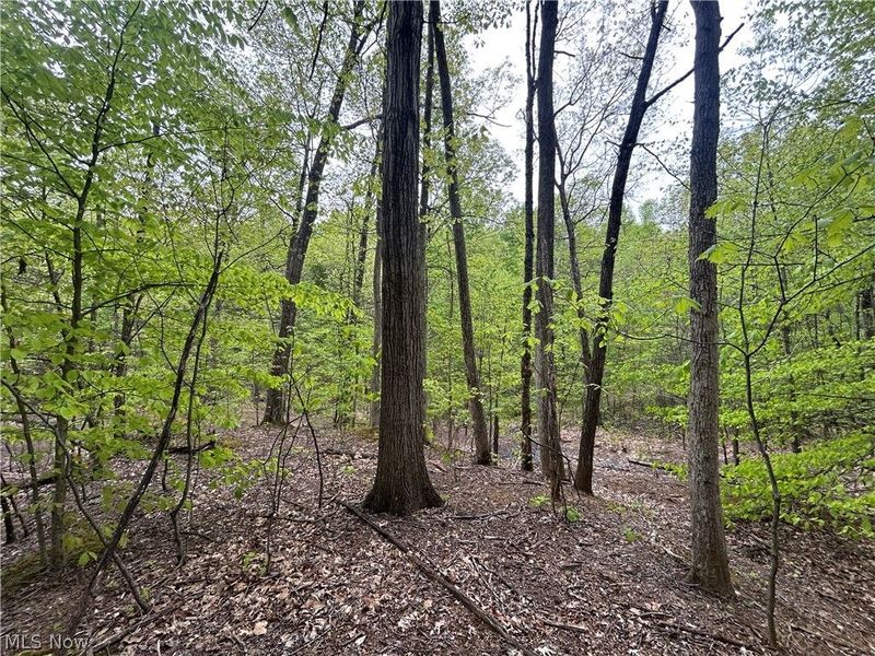 Wesley Chapel, Mount Perry, OH 43760 Photo 4