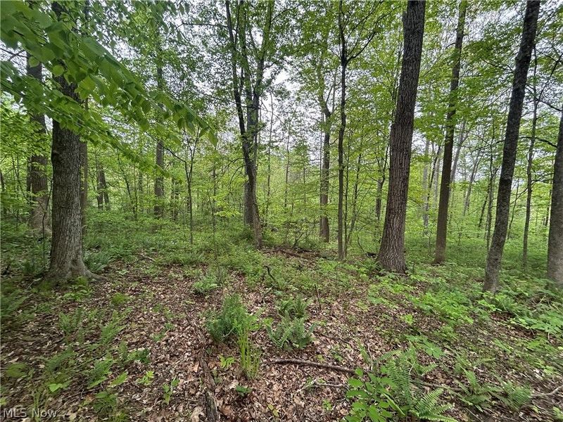 Wesley Chapel, Mount Perry, OH 43760 Photo 6