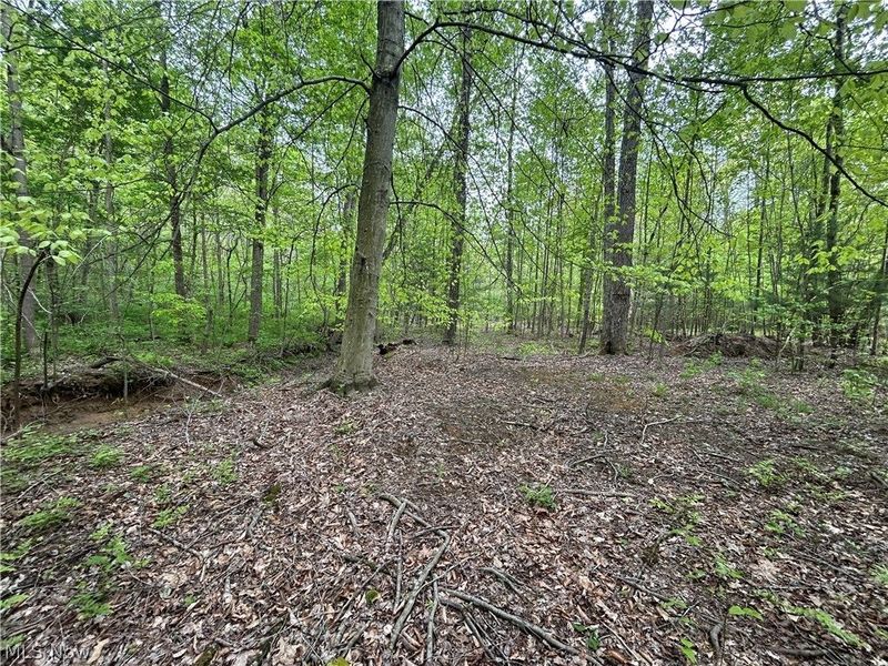 Wesley Chapel, Mount Perry, OH 43760 Photo 8