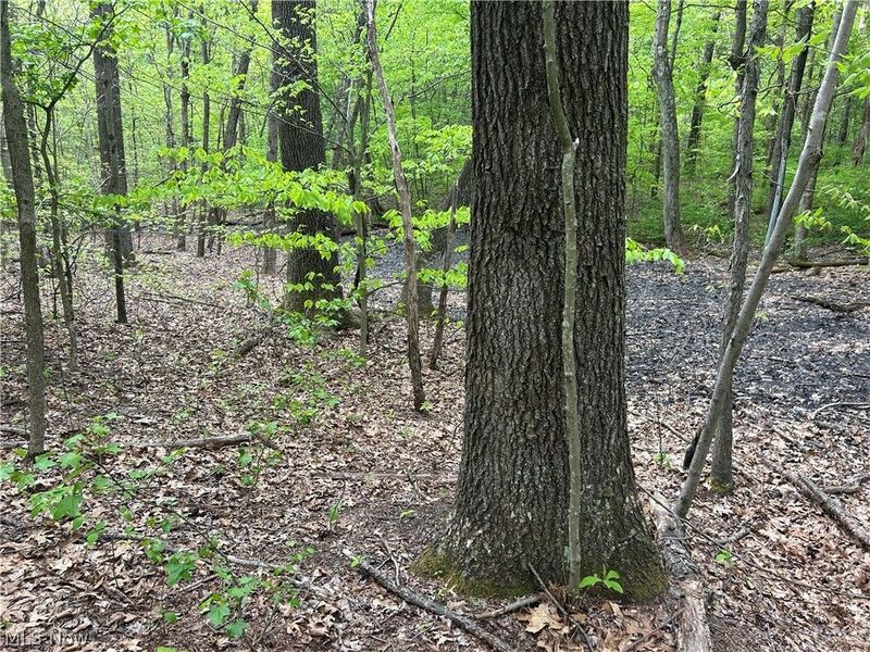 Wesley Chapel, Mount Perry, OH 43760 Photo 9