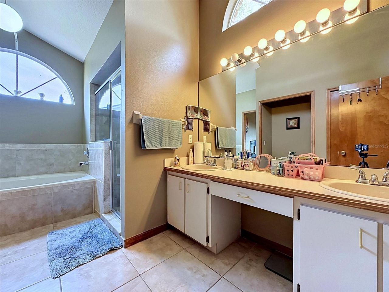 1681 E Spring Ridge Circle , Winter Garden, FL 34787 Photo