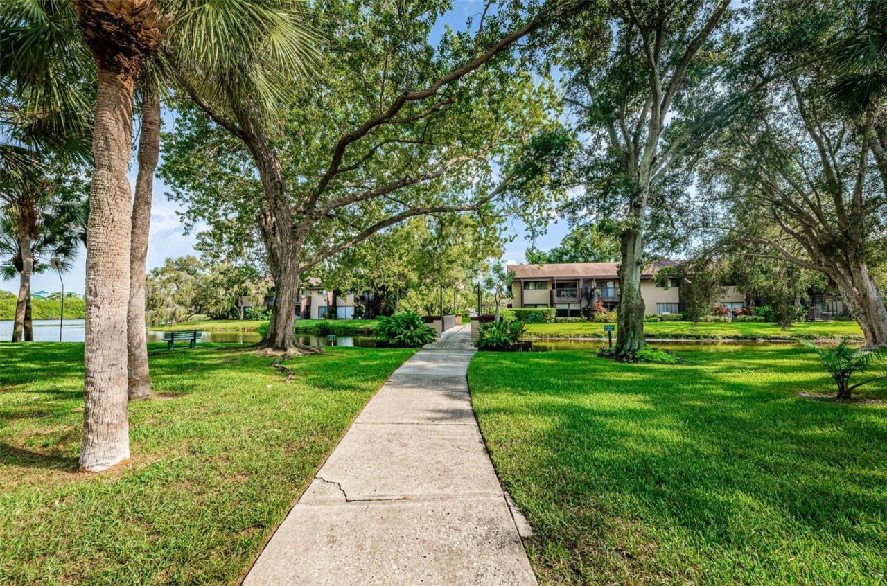 781 Village Lake Terrace N, Unit 101A, Saint Petersburg, FL 33716 Photo