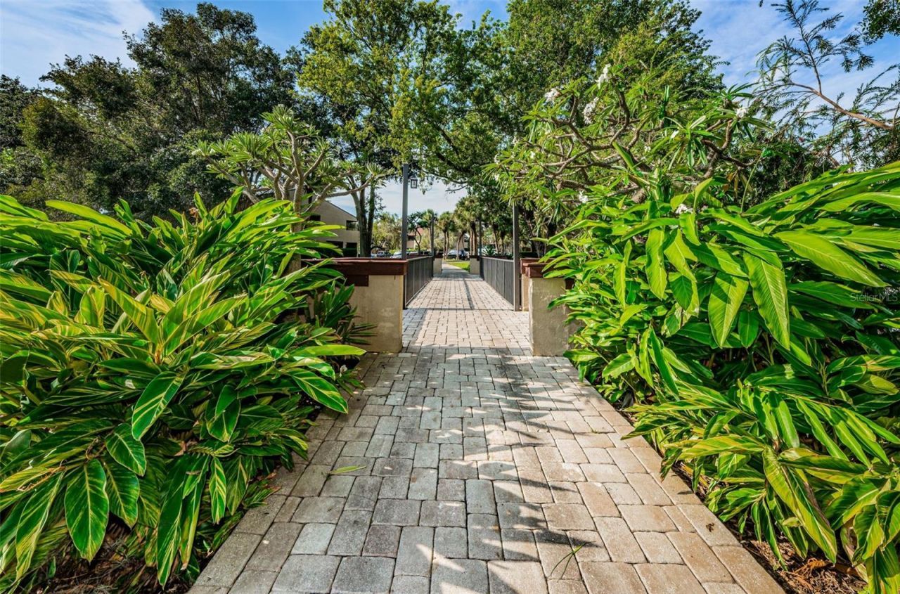 781 Village Lake Terrace N, Unit 101A, Saint Petersburg, FL 33716 Photo