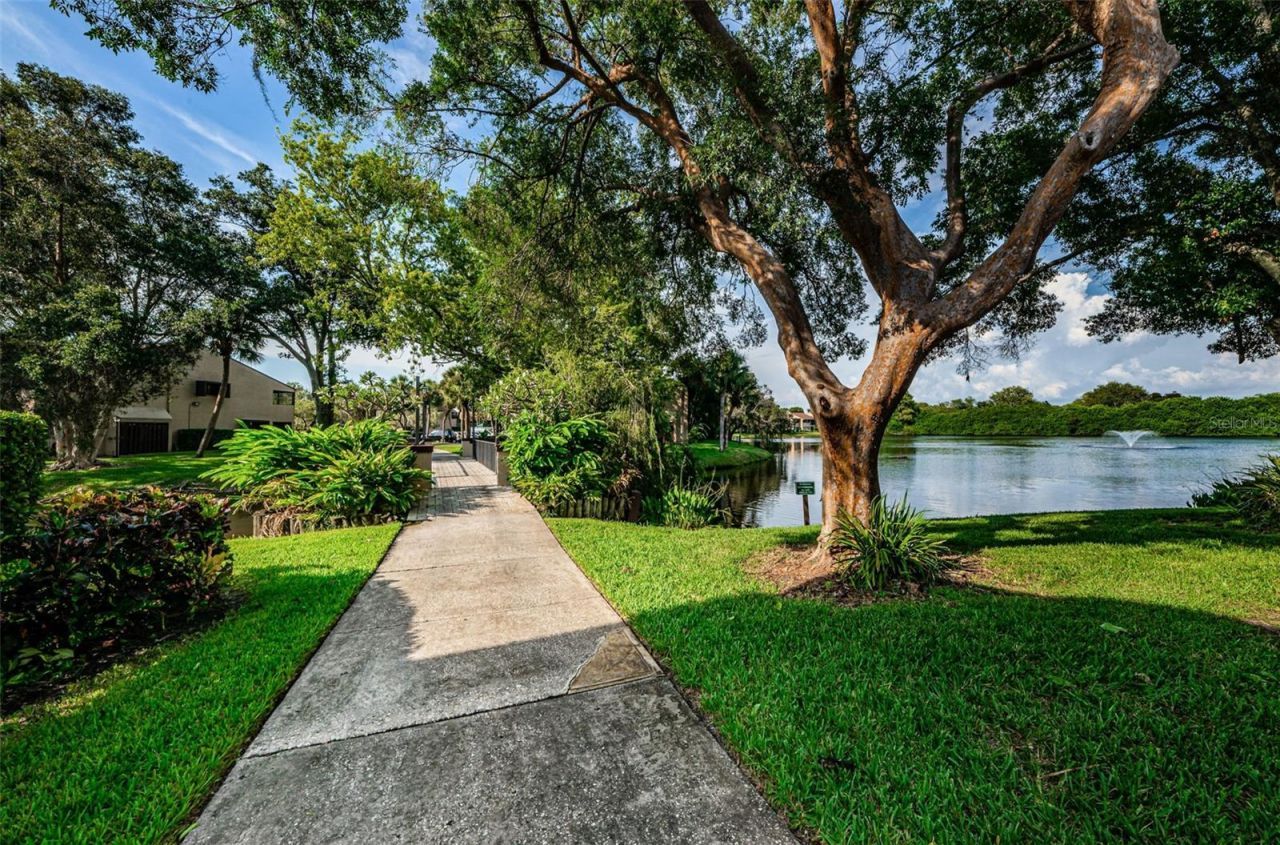 781 Village Lake Terrace N, Unit 101A, Saint Petersburg, FL 33716 Photo