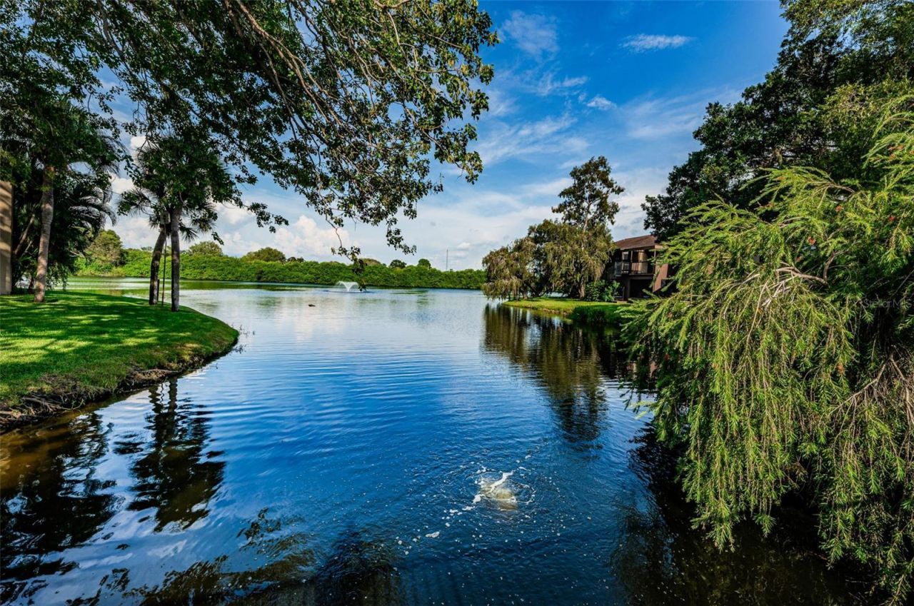 781 Village Lake Terrace N, Unit 101A, Saint Petersburg, FL 33716 Photo