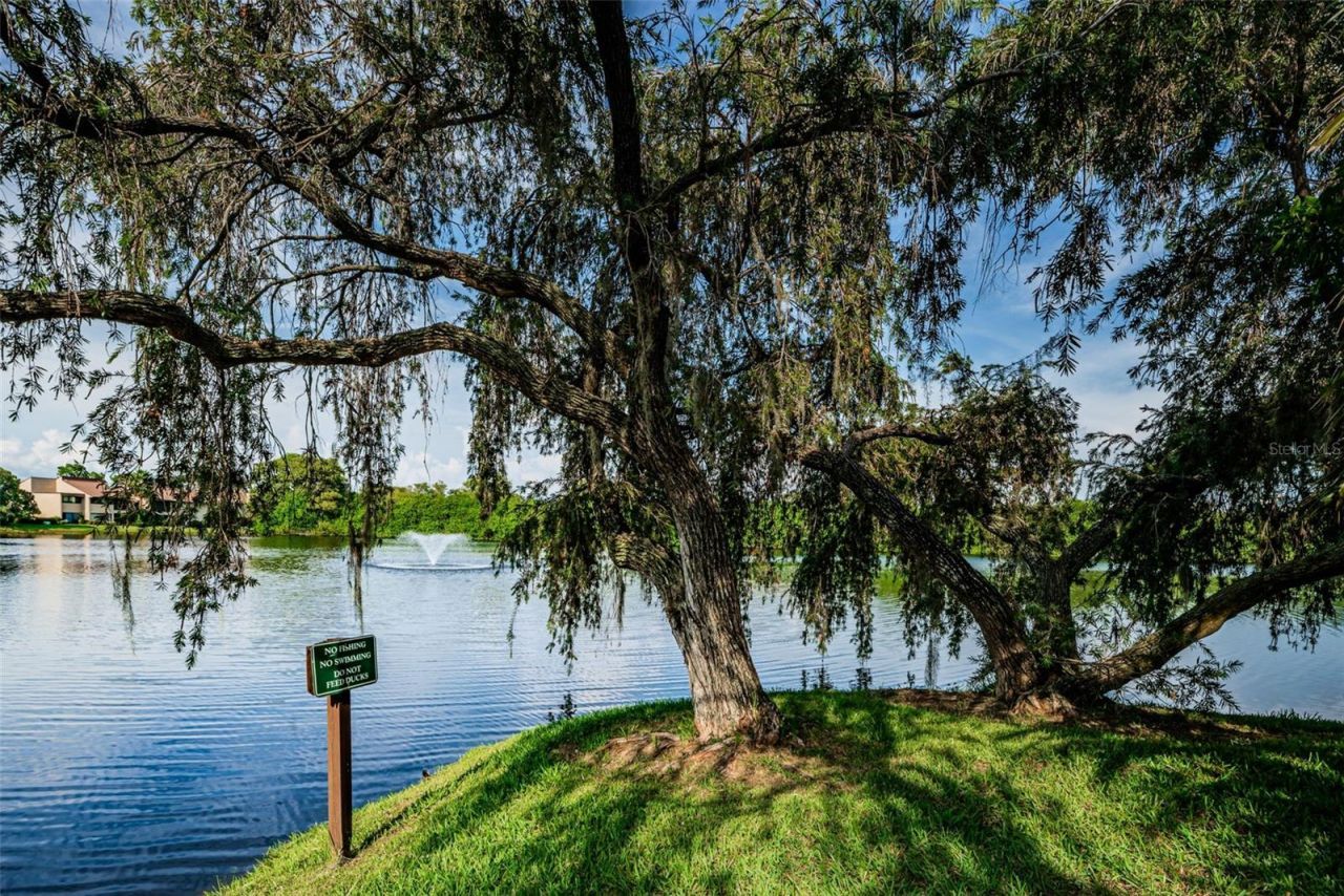 781 Village Lake Terrace N, Unit 101A, Saint Petersburg, FL 33716 Photo