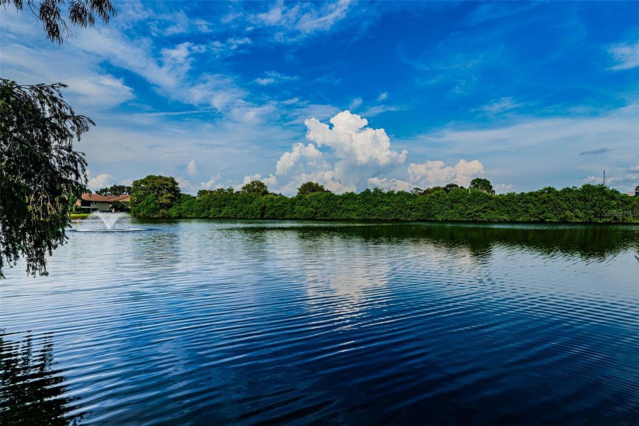 781 Village Lake Terrace N, Unit 101A, Saint Petersburg, FL 33716 Photo