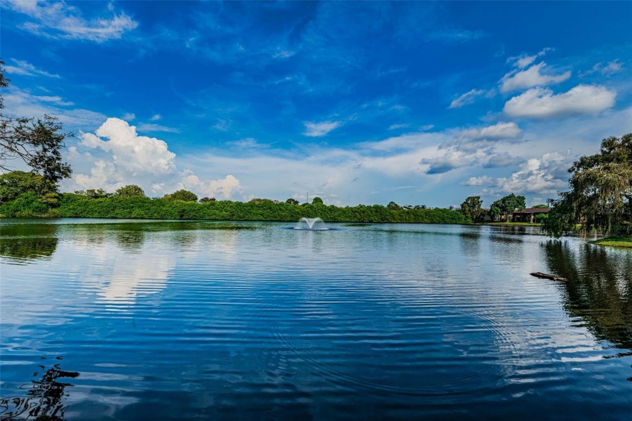 781 Village Lake Terrace N, Unit 101A, Saint Petersburg, FL 33716 Photo