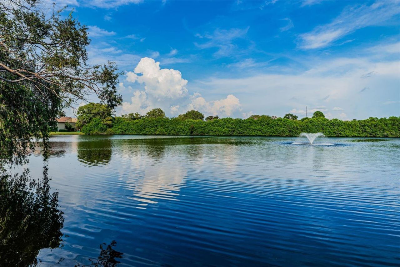 781 Village Lake Terrace N, Unit 101A, Saint Petersburg, FL 33716 Photo