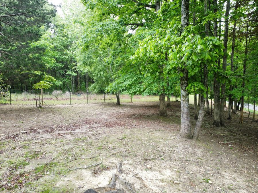 Property Image 64
