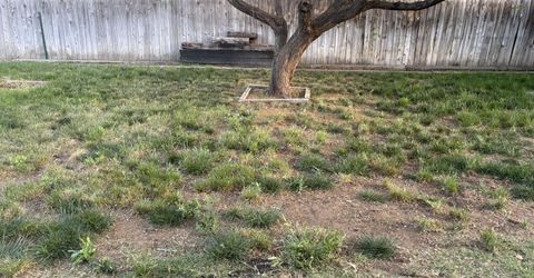 1265 Upton Way, Sparks, NV 89431 Photo