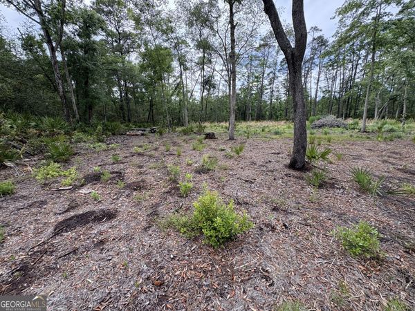 0 Piney Bluff Lot 5 Road, Waverly, GA 31565