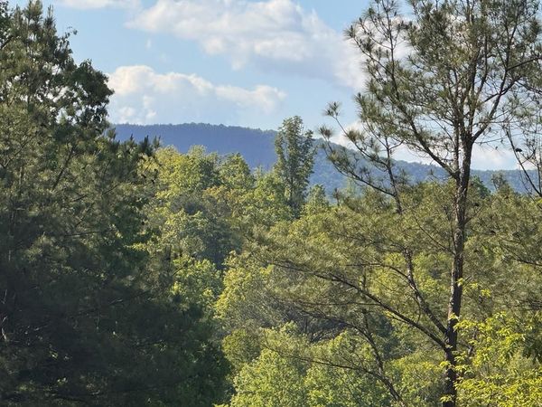 Lot 2 Grassy Creek Road, Copperhill, TN 37317