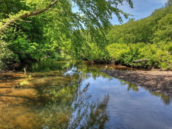 1717 Grassy Creek Road, Copperhill, TN 37317