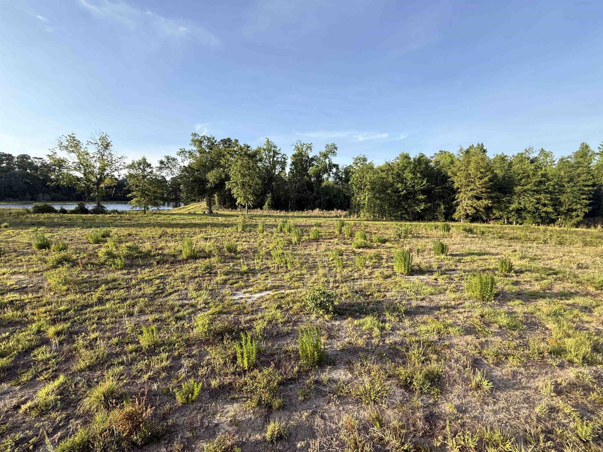 0 Kemp Road , Havana, FL 32333 Photo