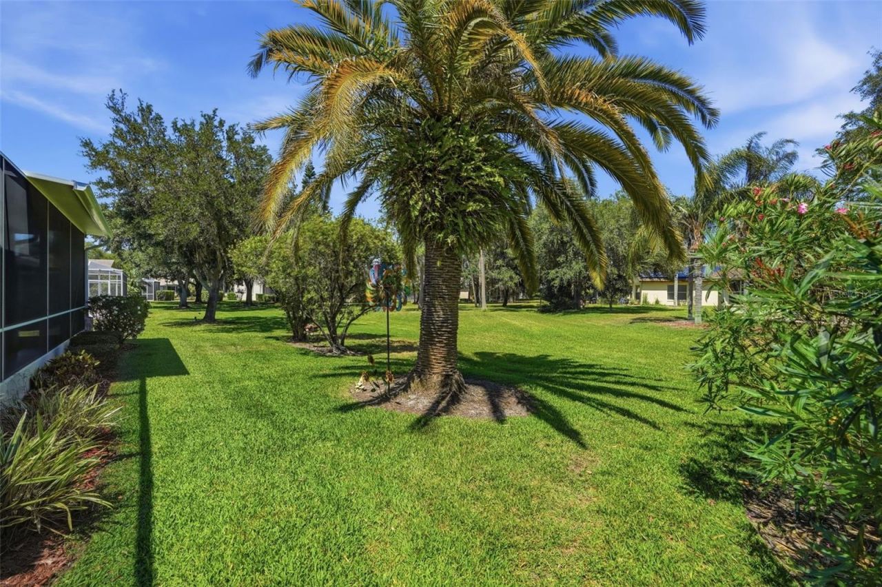 1430 Canberley Court, Trinity, FL 34655 Photo