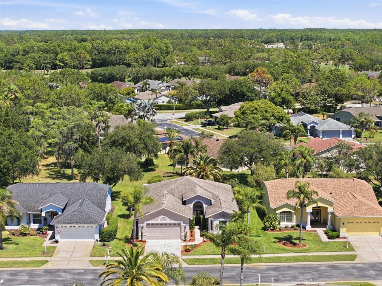 1430 Canberley Court, Trinity, FL 34655 Photo