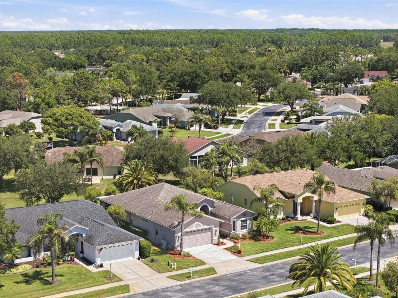 1430 Canberley Court, Trinity, FL 34655 Photo