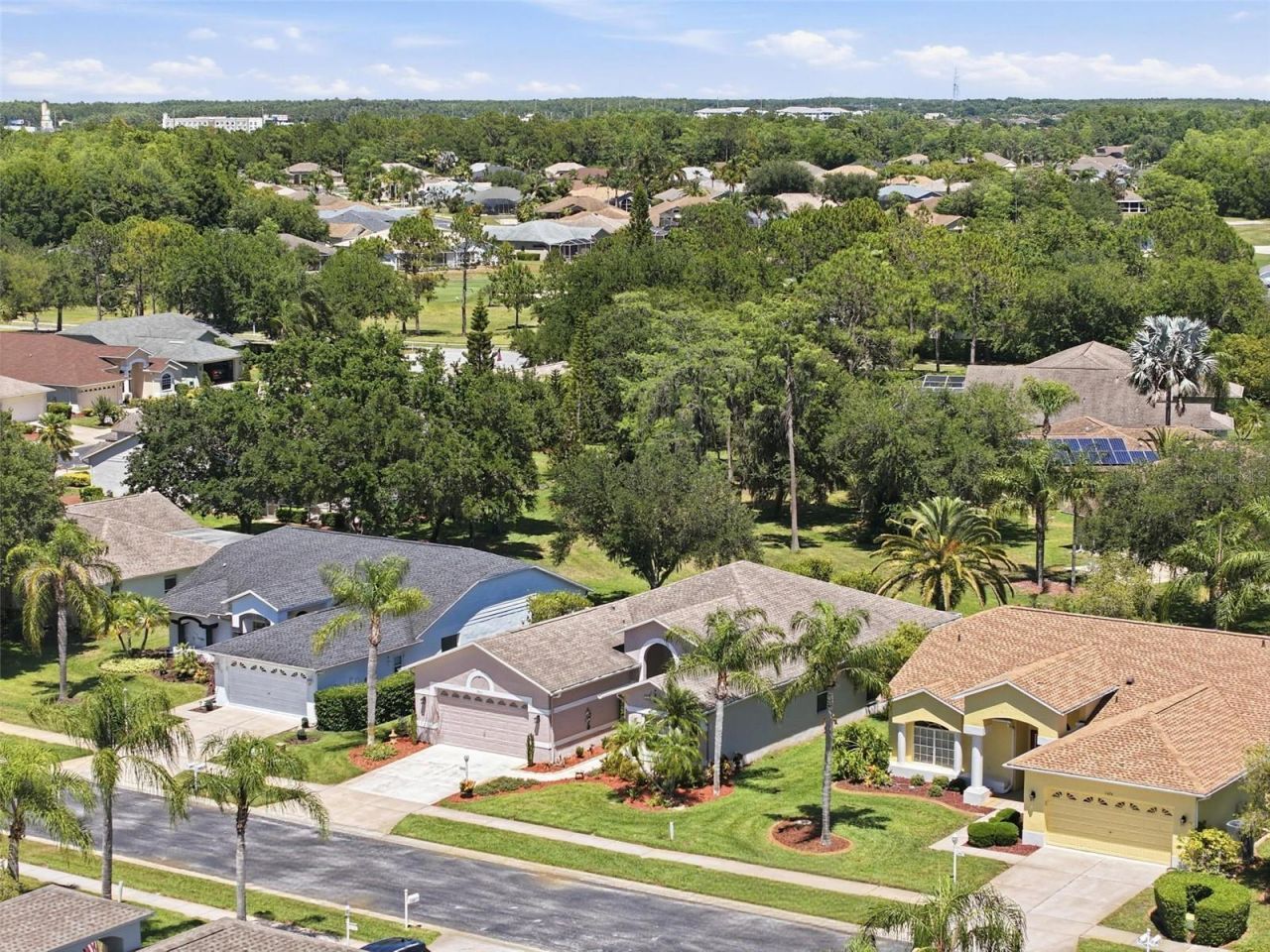 1430 Canberley Court, Trinity, FL 34655 Photo