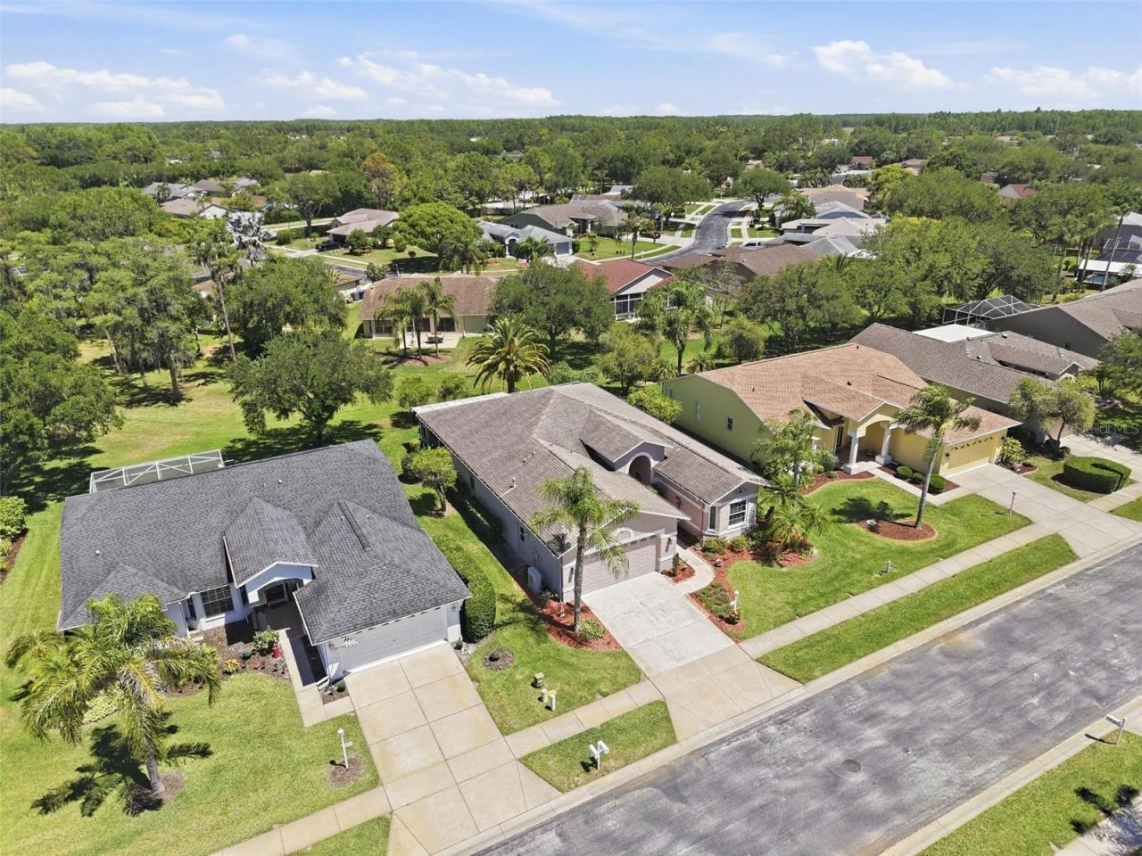 1430 Canberley Court, Trinity, FL 34655 Photo
