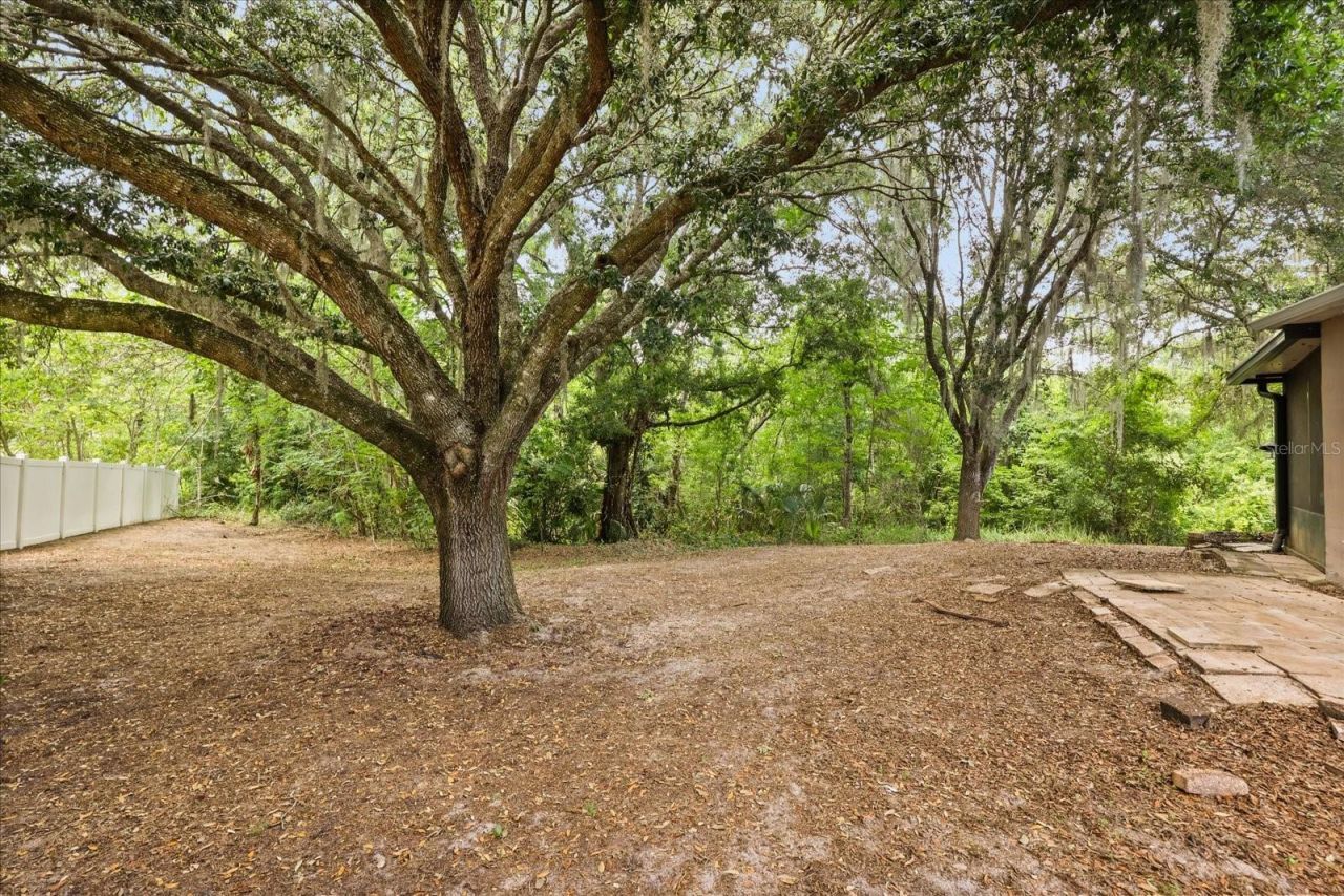 16214 Arrowhead Trail, Clermont, FL 34711 Photo