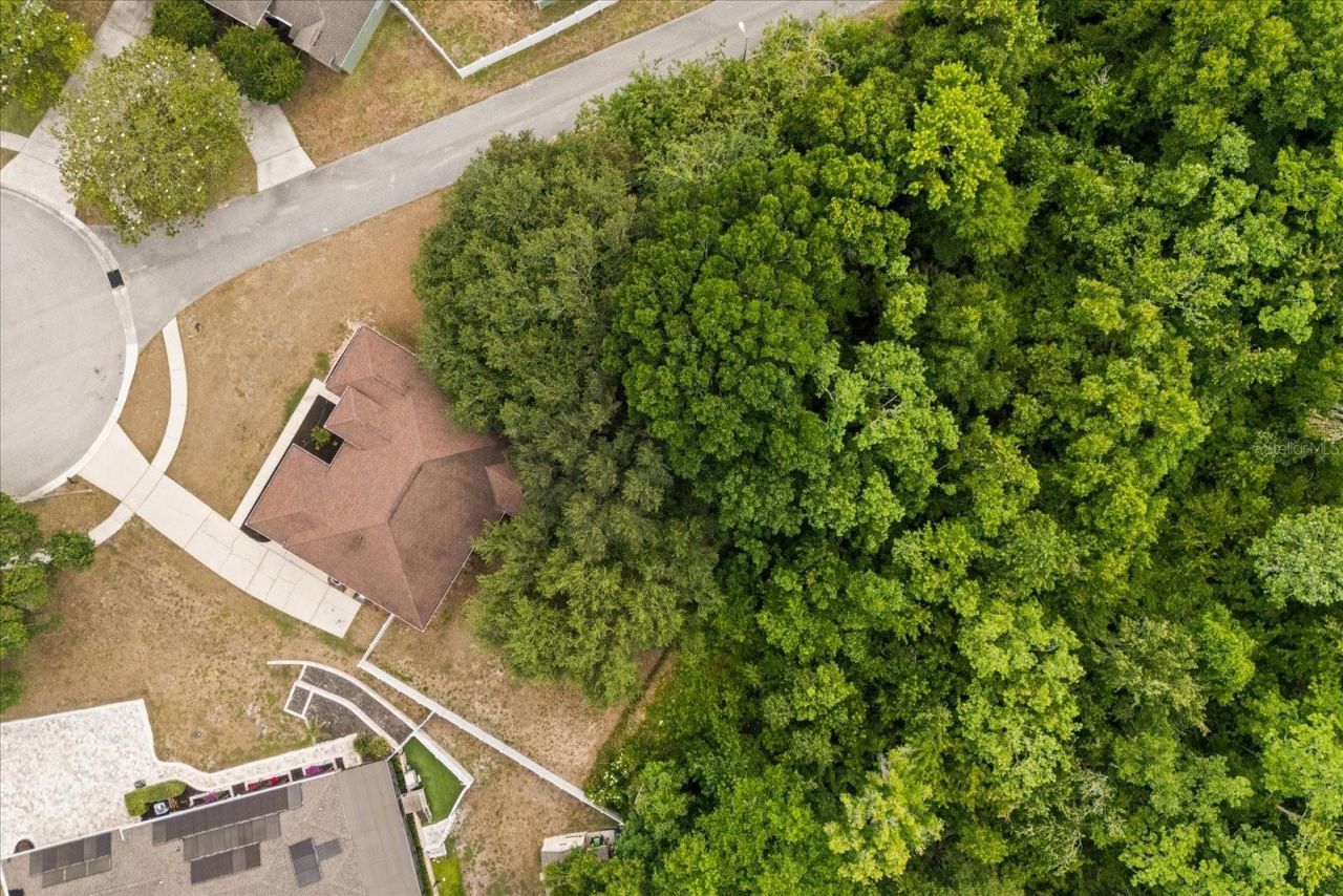 16214 Arrowhead Trail, Clermont, FL 34711 Photo