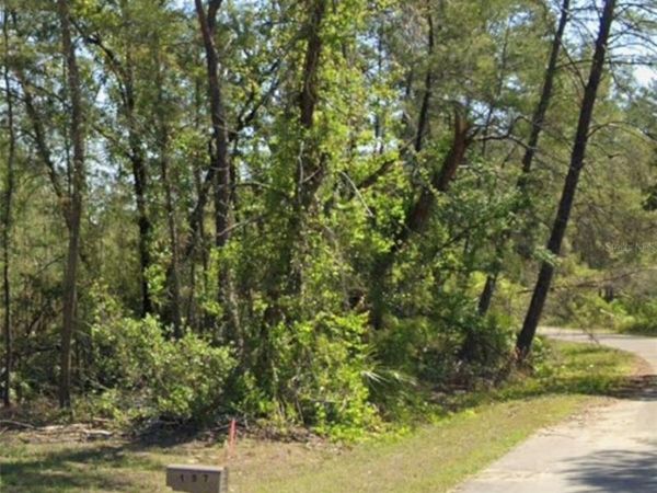 TBD FISHER COURT , OCKLAWAHA, FL 32179