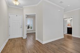 317 Bloomington Way photo 4
