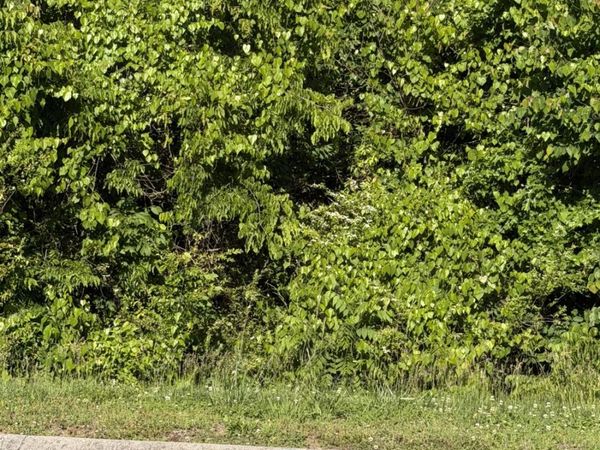 2028 Turners Landing Road, Russellville, TN 37860