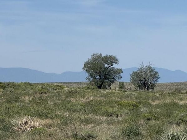 60000 Huckleberry Road, Boone, CO 81025