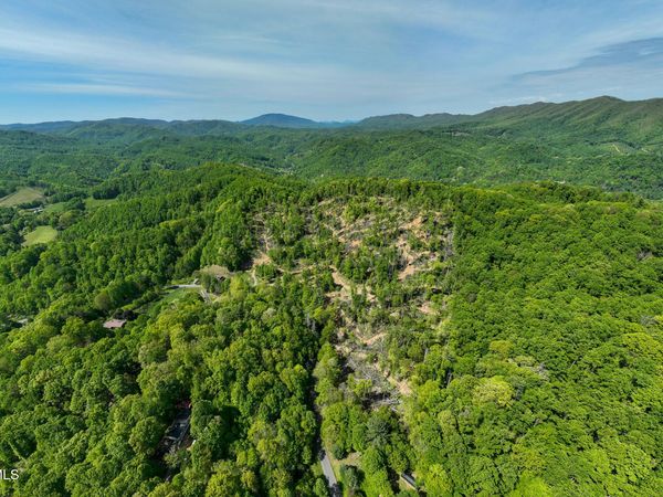 177 Fork Mountain Road, Roan Mountain, TN 37687